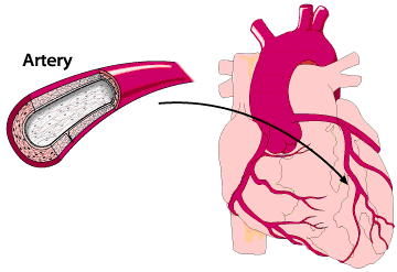 نتیجه تصویری برای ‪circulatory system animation gif‬‏